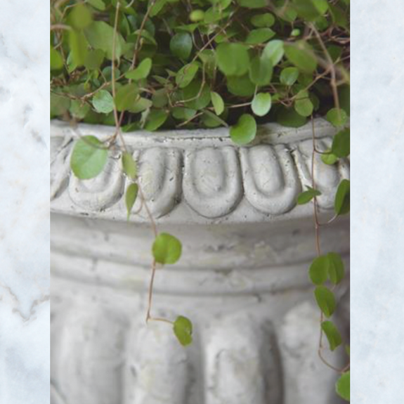 Jeanne d'Arc Living plant pot