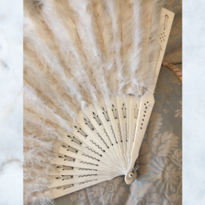 Antique feather hand fan